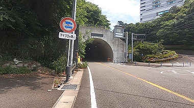 gx011280.mp4_snapshot_00.23_thumb.jpg
