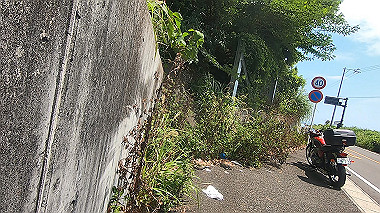 gx011281.mp4_snapshot_00.00_thumb.jpg
