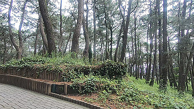 gx011308.mp4_snapshot_00.03_thumb.jpg