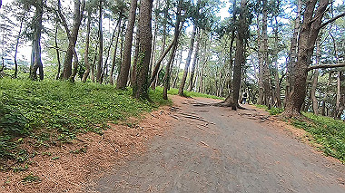 gx011308.mp4_snapshot_00.25_thumb.jpg