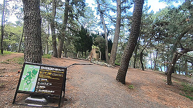 gx011308.mp4_snapshot_01.07_thumb.jpg