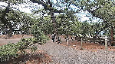 gx011308.mp4_snapshot_02.00_thumb.jpg