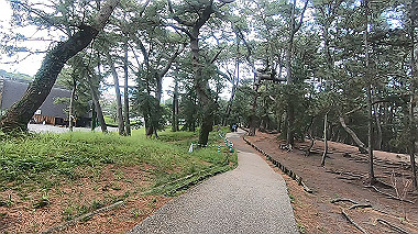gx011309.mp4_snapshot_00.54_thumb.jpg