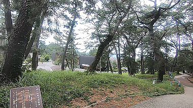 gx011309.mp4_snapshot_01.01_thumb.jpg