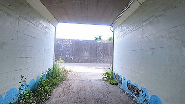 gx011316.mp4_snapshot_00.02_thumb.jpg