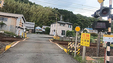 gx011318.mp4_snapshot_00.01_thumb.jpg