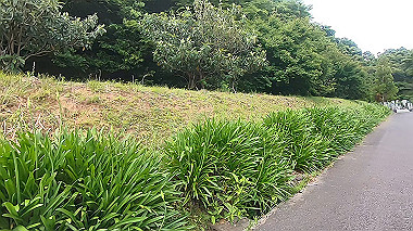 gx011318.mp4_snapshot_05.00_thumb.jpg
