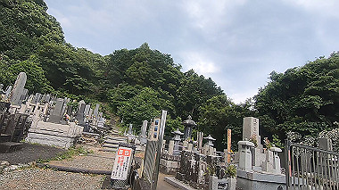gx011319.mp4_snapshot_00.42_thumb.jpg