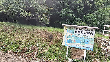 gx011319.mp4_snapshot_00.55_thumb.jpg