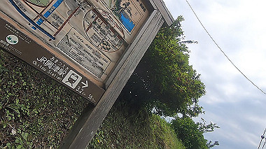 gx011319.mp4_snapshot_04.34_thumb.jpg