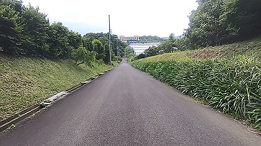 gx011319.mp4_snapshot_05.34_thumb.jpg