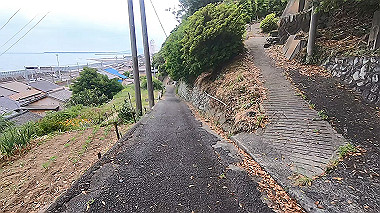 gx011319.mp4_snapshot_06.43_thumb.jpg
