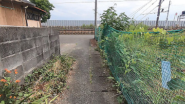 gx011319.mp4_snapshot_07.24_thumb.jpg