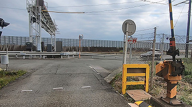 gx011319.mp4_snapshot_07.45_thumb.jpg