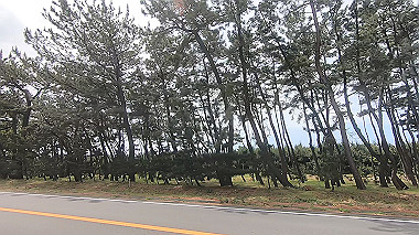 gx011346.mp4_snapshot_00.21_thumb.jpg