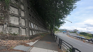gx011361.mp4_snapshot_00.07_thumb.jpg