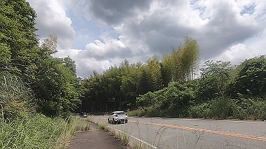 gx011365.mp4_snapshot_00.49_thumb.jpg