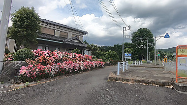 gx011367.mp4_snapshot_02.18_thumb.jpg