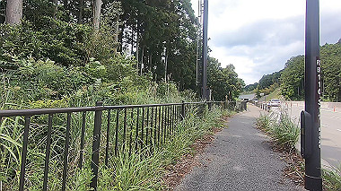 gx011369.mp4_snapshot_00.20_thumb.jpg