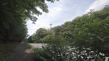 gx011378.mp4_snapshot_00.51_thumb.jpg