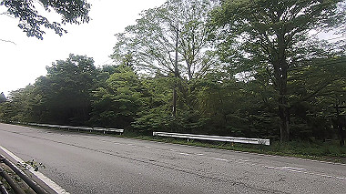 gx011378.mp4_snapshot_01.24_thumb.jpg
