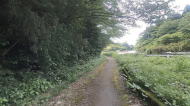 gx011379.mp4_snapshot_00.24_thumb.jpg