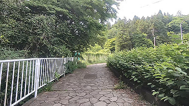 gx011380.mp4_snapshot_00.08_thumb.jpg