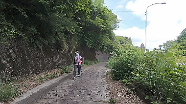 gx011380.mp4_snapshot_00.44_thumb.jpg