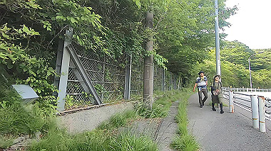 gx011380.mp4_snapshot_03.41_thumb.jpg