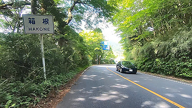 gx011387.mp4_snapshot_04.03_thumb.jpg