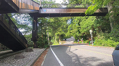 gx011390.mp4_snapshot_00.02_thumb.jpg