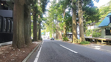 gx011390.mp4_snapshot_00.16_thumb.jpg