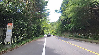 gx011393.mp4_snapshot_00.43_thumb.jpg