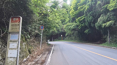 gx011393.mp4_snapshot_02.30_thumb.jpg