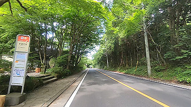 gx011393.mp4_snapshot_03.39_thumb.jpg