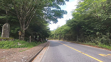 gx011393.mp4_snapshot_04.01_thumb.jpg