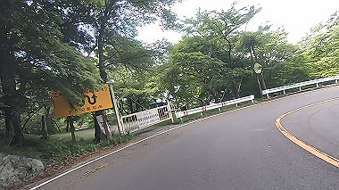 gx011393.mp4_snapshot_06.08_thumb.jpg