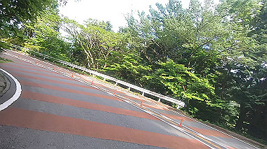gx011393.mp4_snapshot_06.46_thumb.jpg