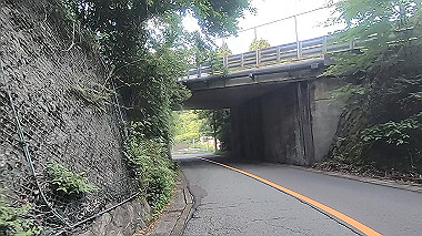 gx011393.mp4_snapshot_09.05_thumb.jpg