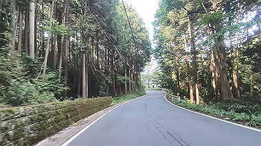 gx011395.mp4_snapshot_00.09_thumb.jpg