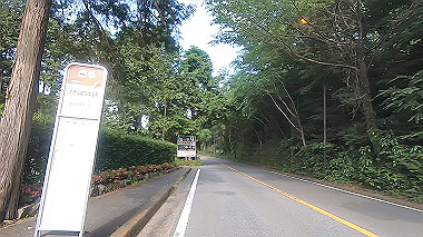 gx011396.mp4_snapshot_00.16_thumb.jpg
