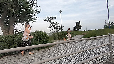 gx011399.mp4_snapshot_08.48_thumb.jpg