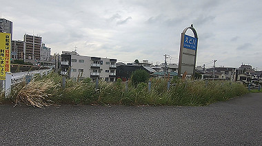gx011471.mp4_snapshot_00.13_thumb.jpg