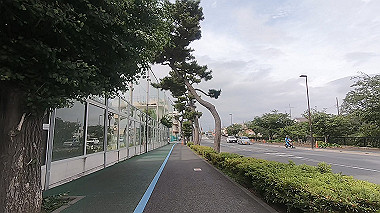 gx011474.mp4_snapshot_08.31_thumb.jpg
