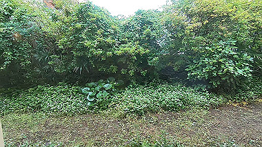 gx011482.mp4_snapshot_00.58_thumb.jpg