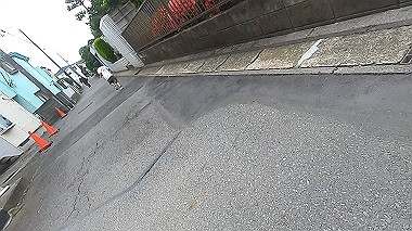 gx011505.mp4_snapshot_01.04_thumb.jpg