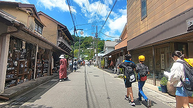 gx011524.mp4_snapshot_00.20_thumb.jpg