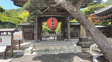 gx011525.mp4_snapshot_00.15_thumb.jpg