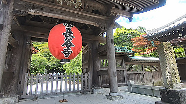 gx011526.mp4_snapshot_00.04_thumb.jpg
