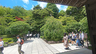 gx011526.mp4_snapshot_00.16_thumb.jpg